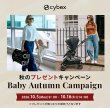 画像2: ＼期間限定 プレゼント付き！／パラスG3 チョコレートブラウンプラス  cybex PALLAS G3 i-Size (2)