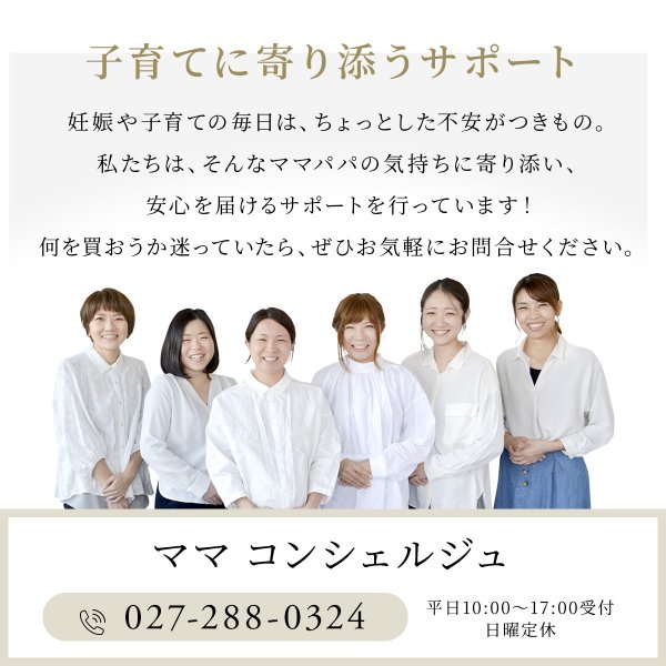 画像9: 【2026年最新モデル】サイベックス リベル ベビーカー / ストーミーブルー cybex LIBELLE (9)