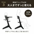 画像16:  【8月下旬頃より順次発送】【セット】サイベックス レモ プラチナム 3-IN-1 / ホワイトウッド cybex  LEMO Platinum 3-IN-1（レモ プラチナム チェア＋ベビーセット＋スナックトレイ） (16)