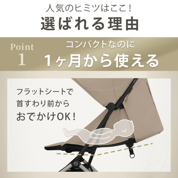 画像14: 【新色】サイベックス オルフェオ ベビーカー /   マジックブラックJP cybex ORFEO (14)