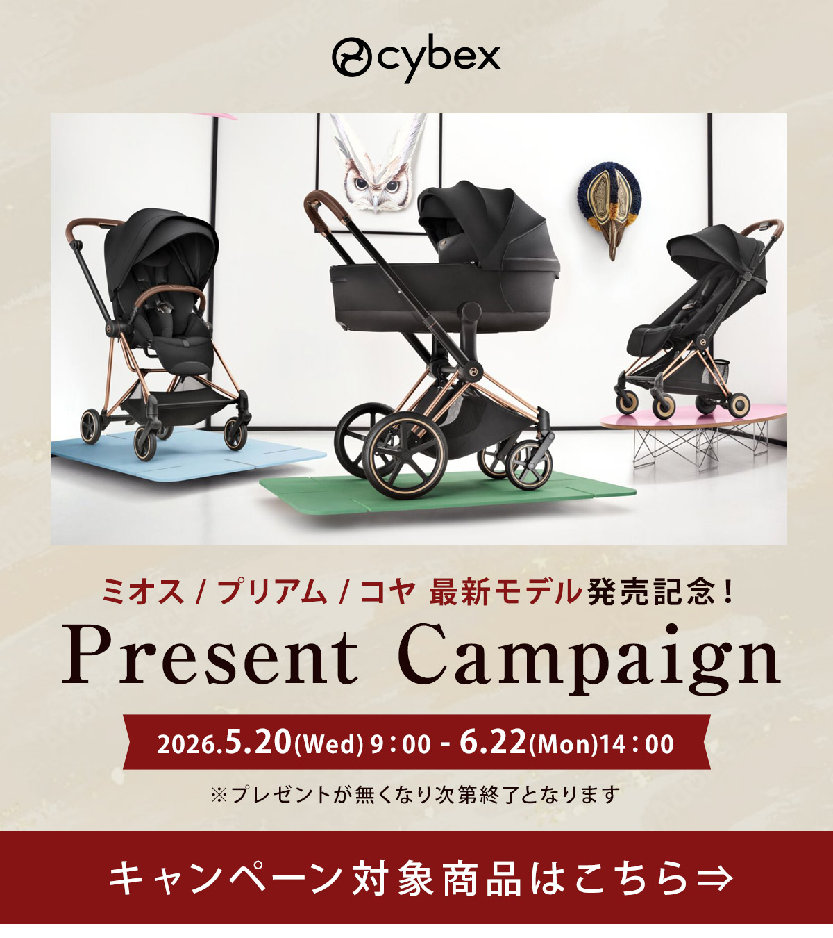 サイベックス プレゼントキャンペーン