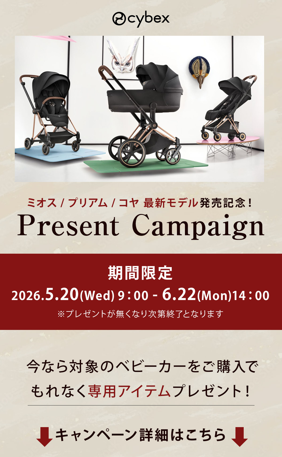 サイベックス プレゼントキャンペーン