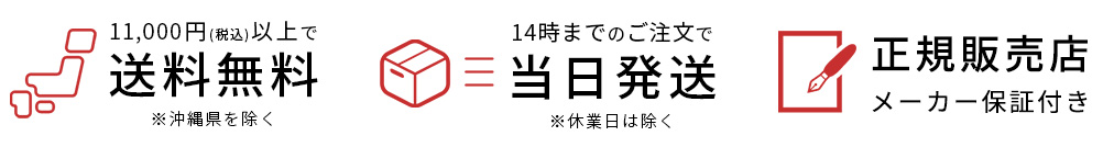 1万円以上で送料無料、14時までのご注文で当日発送、エアバギー正規販売店 安心の正規保証付き